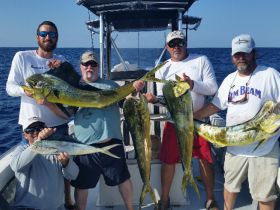 mahimahi