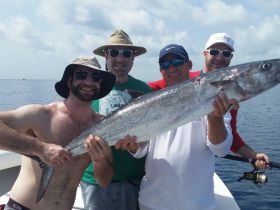 king mackeral