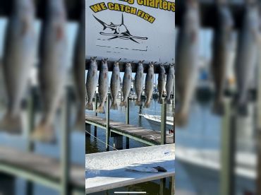 9-Ball Fishing Charters thumbnail