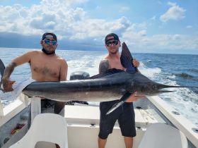Charter Image