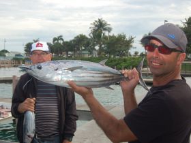 Skipjack tuna have been showing up in good numbers off Palm Beach this winter. 