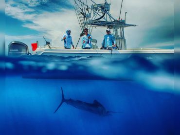 Miami Sailfish Charter – 35' T Open Fisherman thumbnail