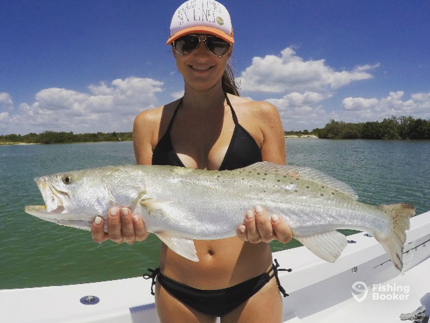 Tampa Bay Fishing Charters Saint Petersburg Fl.