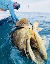 Fast Cast Fishing – Boca Grande
