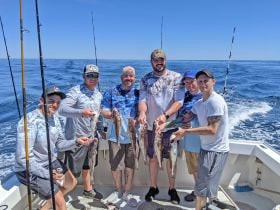 Happy Haddock guests