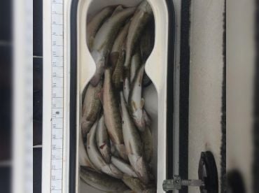 GT Charter Services thumbnail