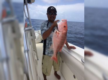 16 lb Red Snapper