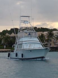Reel Crazy Fishing Charters - 42 ft thumbnail