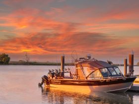 Team Mc Fishing Guide Service