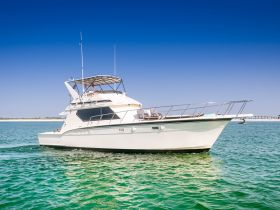 Charter Image