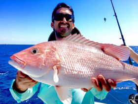 Gulf Red Snapper