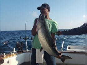 24lb. king