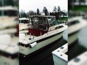 High Life Sport Fishing Charters thumbnail