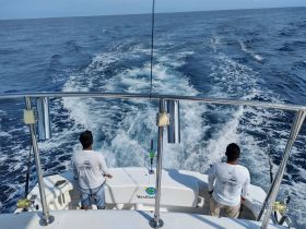 Charter Image