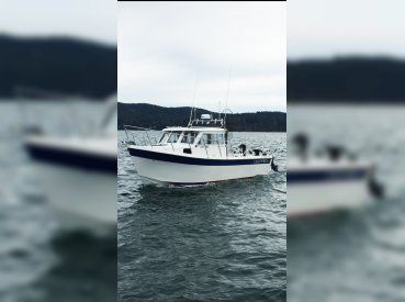 Top Rods Guide Service - Victoria thumbnail