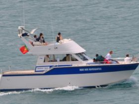 Dreamboats - Mar Dos Navegantes
