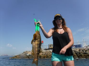 Lobster Hooping At Catalina Island With Wet Willy Fishing - Promar & Ahi USA