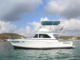 Charter Image