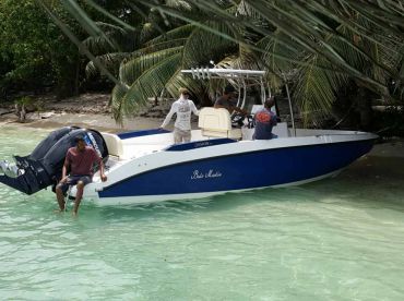 Thoddoo Inn - Blue Marlin