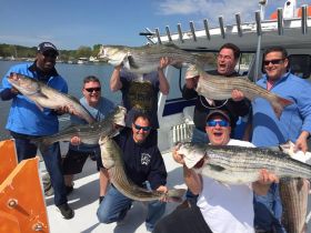 Sporting Wood Charters