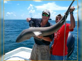 Charter Image