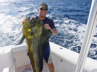 Dorado/Mahi Mahi