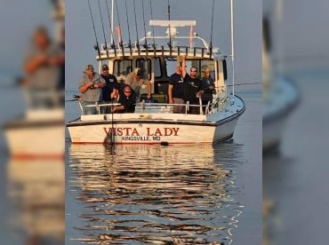 Vistaladyfish LLC thumbnail