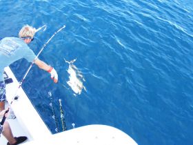Charter Image