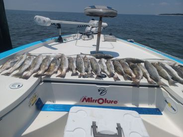 Charter Image