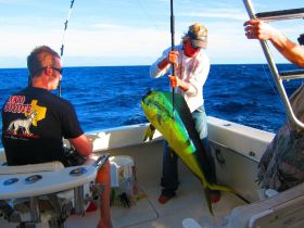 Charter Image