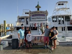 Charter Image