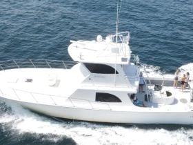 Charter Image