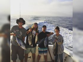 Charter Image