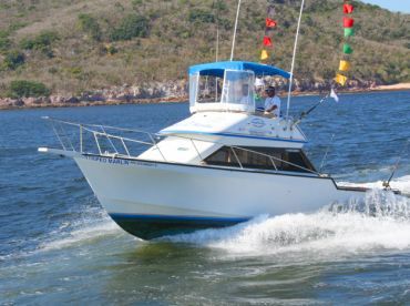 Escualo Fleet - Striped Marlin 36' thumbnail