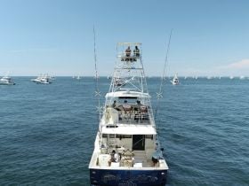 Charter Image