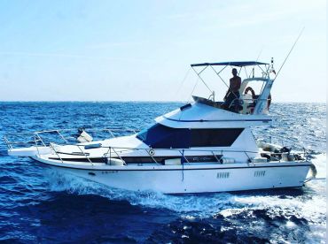 Amalfi Cinco Excursions