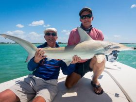 Shark fishing April-September off Sanibel Island