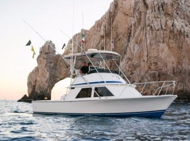 Wahoo 33' thumbnail