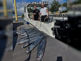 Guam Fishing Expeditions