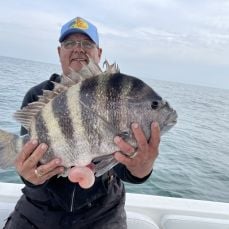 Captain Ray B.