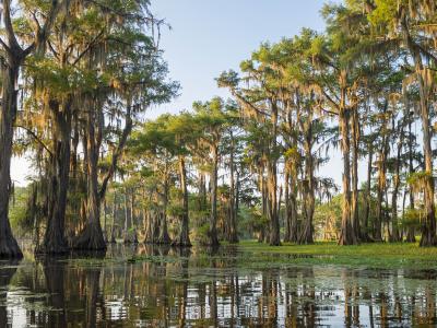 Boothville-Venice
