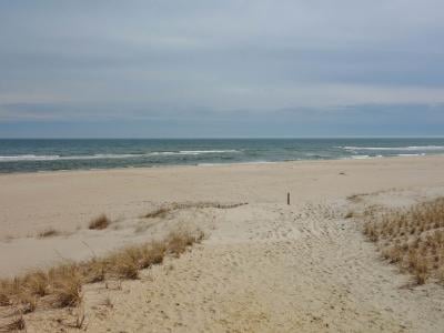 Beach Haven