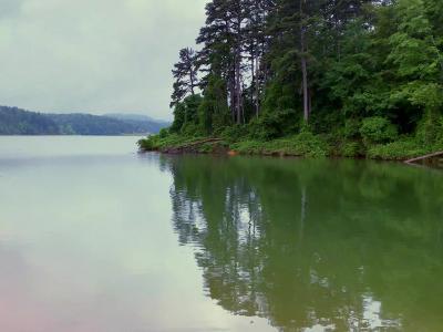 The 10 Best Fishing Charters in Kerr Lake