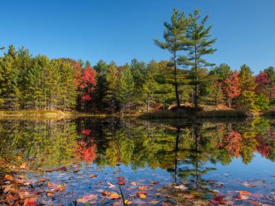 Kawartha Lakes