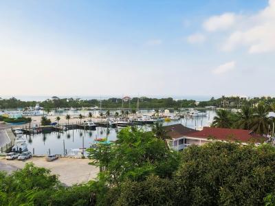 Turtle Cove