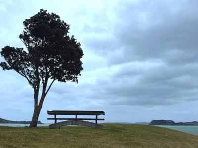 Kawakawa Bay