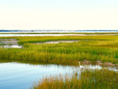 East Moriches