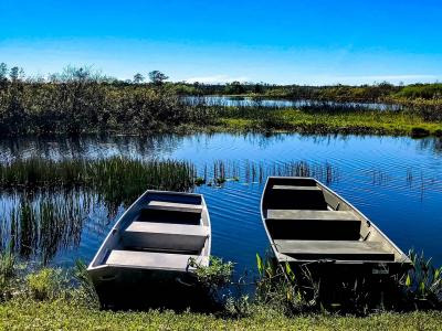Belle Chasse