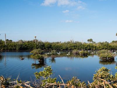Merritt Island