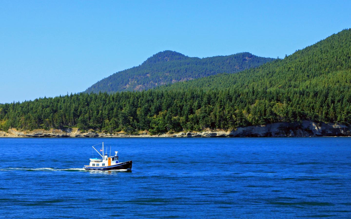 Flounder Fishing in Puget Sound - FishingBooker